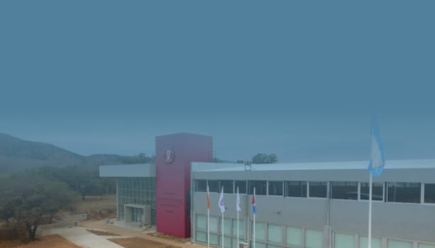 Reuniones Estrat�gicas: Formaci�n y Bienestar para Nuestra Comunidad