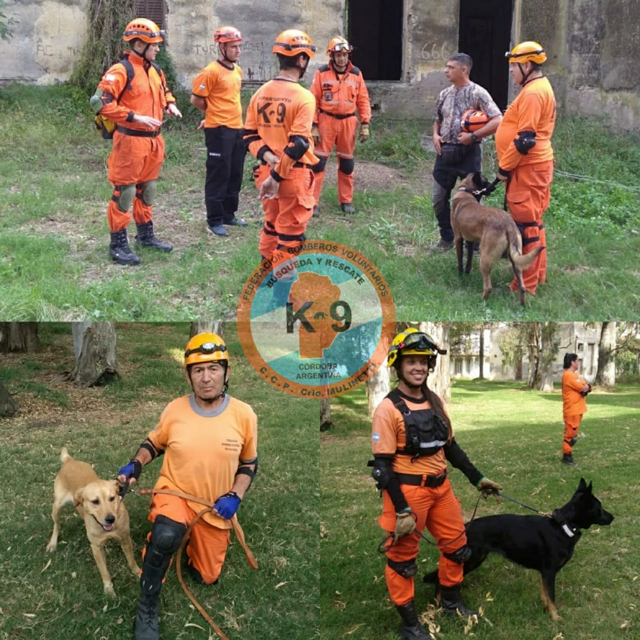 Departamento Búsqueda y Rescate con Canes: Curso Especial